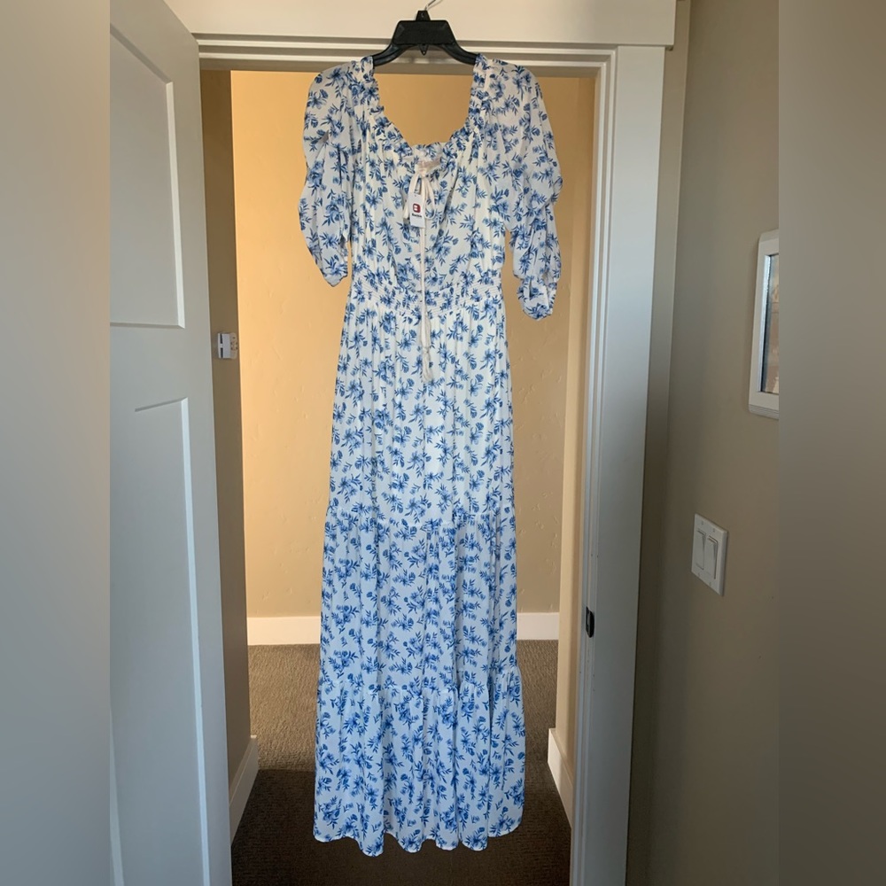 Love Colette Blue sheer flora dress